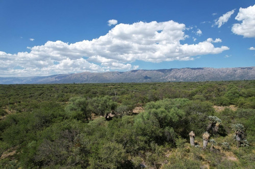 Imagen 6 de 8 de Venta De Terrenos Loteo Tierra Soñada Cortaderas San Luis