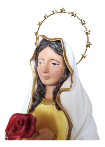 Imagem De Nossa Senhora Da Rosa Mistica 21 Cm Com Resplendor