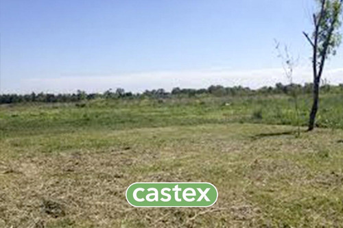 Imagen 6 de 9 de Lote En Venta En San Pablo