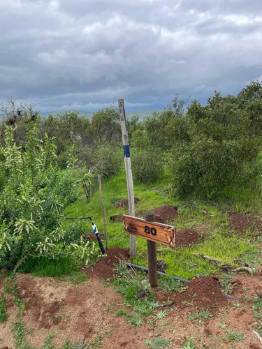 Venta Parcela Altos Del Valle Limache (171066)