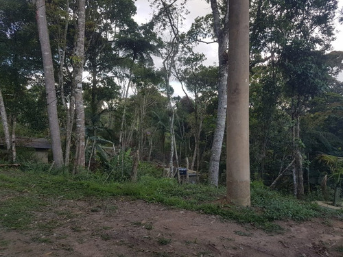 Imagem 3 de 4 de Terreno Na Aldeinha!! - Te00017 - 33500325