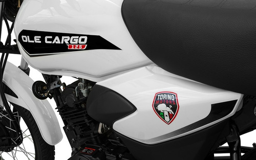 Imagen 3 de 10 de Moto Torino Ole Cargo 125