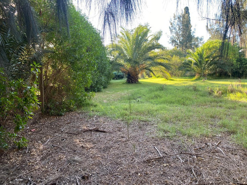 Imagen 4 de 6 de Terreno En Venta En La Zona De La Pista