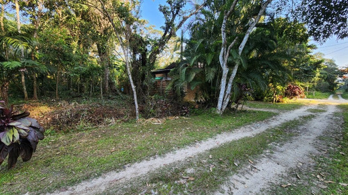 Imagem 6 de 8 de Terreno Com 500m² No Guaraú A 600 Metros Da Praia - Excelente Localização