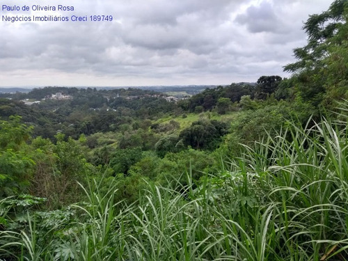 Imagem 1 de 22 de Terreno - Te00049 - 69287773
