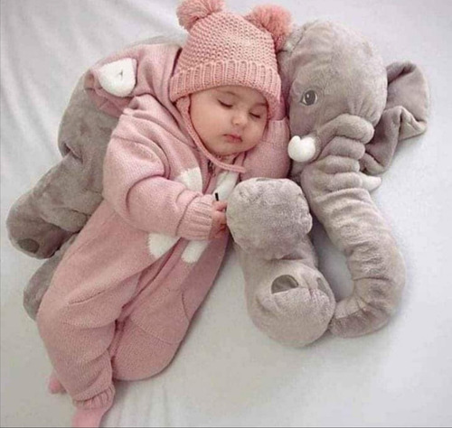 Imagen 1 de 7 de Peluche Elefante Gris