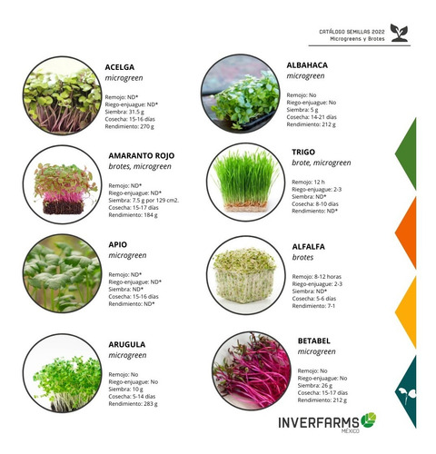 Semilla Libre Tratamiento Mizuna Brote Microgreen 20.6g