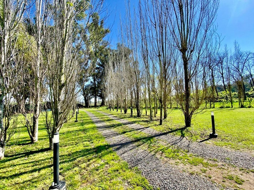 Imagen 23 de 30 de Hermosa Casa 5 Amb Con Parque Y Quincho