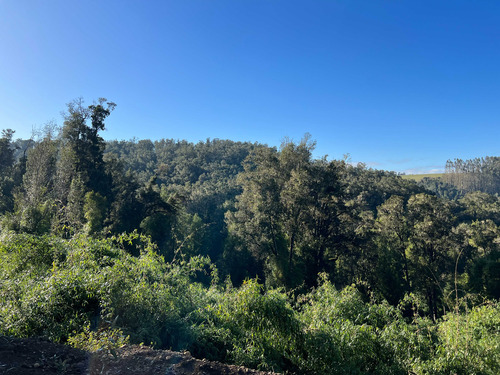 Loteo Don Jaime / Región De Los Lagos (67191)