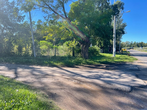 Hermoso Lote Comercial Sobre Colectora