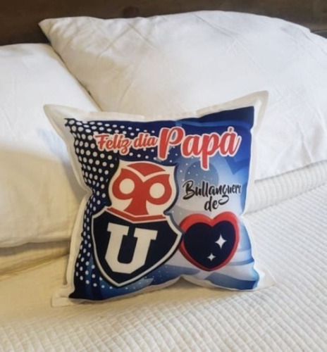 Cojines Dia Del Papa