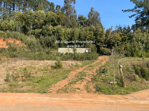 Terreno Valle Del Río, Pingueral, Tomé