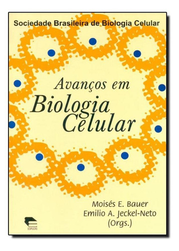 -, de Moisés E. Bauer. Editorial EDIPUCRS, tapa mole en português