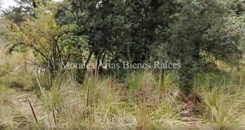 Invierte En Tranquilidad: Terreno Residencial Ecológico En El Ajusco