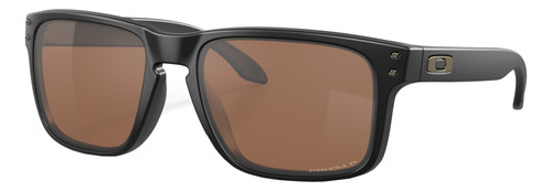 Óculos de sol polarizados Oakley Holbrook Standard armação de o matter cor matte black, lente tungsten de plutonite prizm, haste matte black de o matter - OO9102