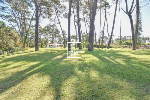 Imagen 3 de 4 de Vende Terreno Zona Residencial Punta Del Este
