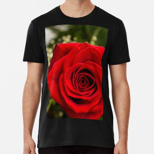 Remera Closeup Of A Red Rose  Algodon Premium