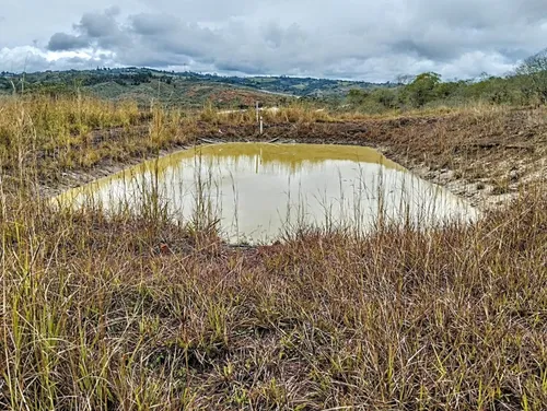 Restrepo, 11 Plazas, Terreno Agricola