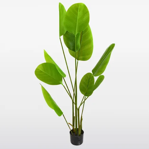 Planta Artificial Strelitzia Nicolai Hiperrealista Xl 180cm Color Verde