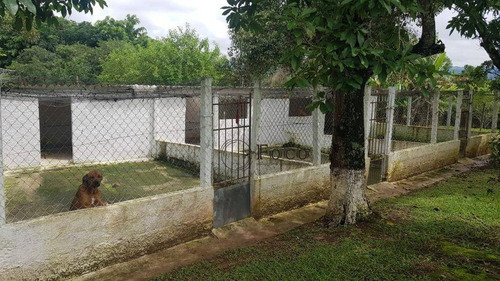 Imagem 22 de 23 de Sítio À Venda, 36000 M² Por R$ 1.800.000,00 - Itapety - Mogi Das Cruzes/sp - Si0011