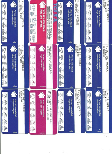 Lote De 28 Tarjetas Transporte Merlo (bs. As.)