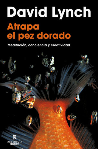 Atrapa El Pez Dorado, De Lynch, David. Editorial Reservoir Books, Tapa Blanda En Español