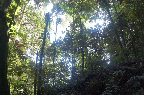 Sítio Granja Redenção