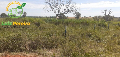 Imagem 5 de 7 de Fazenda À Venda Em Figueirão - Ms - De 1.003 Hectares (pecuária) - 1684