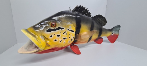 Peixe Tucunaré Açu Amazônico Em Resina