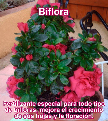 Fertilizante Especial Para Bifloras Por 100 Gr (rinde 25 L)
