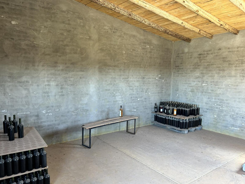 Finca, Bodega Artesanal Y Casa En San Rafael, Medoza.