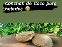 Comprar Conchas Cascaras Coco Helados  Dulces Cremas Postres 