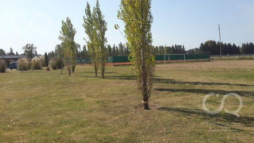 Imagen 2 de 5 de Terreno - Santa Ines