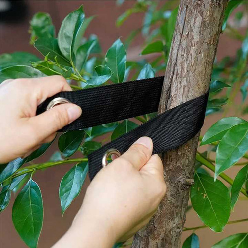 Sujeta De Forma Segura Los Lazos Para Árboles Al Aire Libre