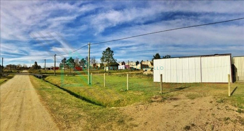 Imagen 6 de 9 de Colonia - Galpón De 100 M2 Con Gran Terreno- Ref: 845