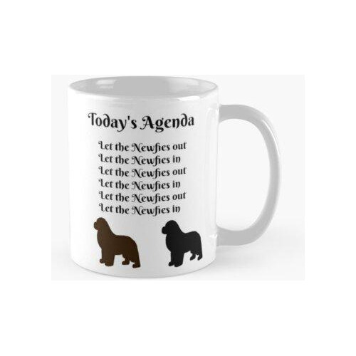 Taza Agenda De Hoy Calidad Premium