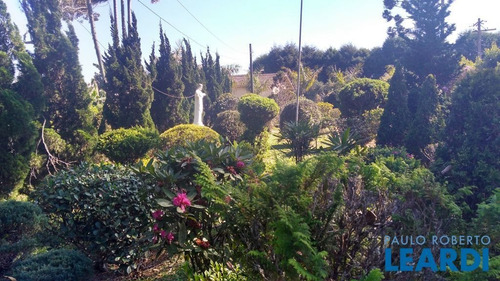 Imagem 3 de 15 de Fazenda - Centro - Sp - 514193