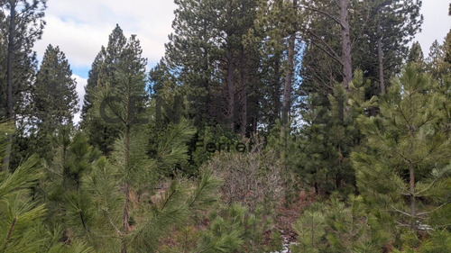 Lote En Venta - Bariloche - Solares Del Este - Barrio Cerrado - Id:47919