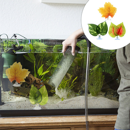 Cama Betta Lizard Para Pecera, 3 Unidades
