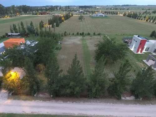 Imagen 8 de 8 de Terreno - Campos De Roca Ii
