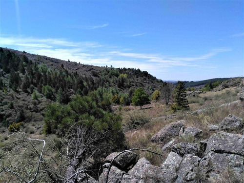 Imagen 11 de 22 de Venta! Lote 3524m2 Con Costa De Rio! La Cumbrecita, Peñon Del Aguila!