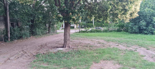 Imagen 1 de 3 de Terreno En La Localidad De Bigand