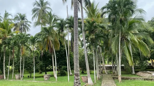 Finca Para Proyecto