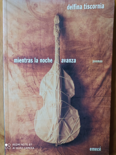 Mientras La Noche Avanza / Delfina Tiscornia / Poesía