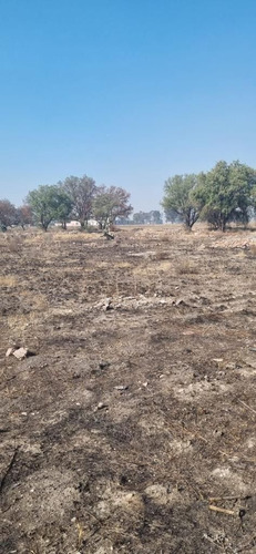 Terreno En Venta En Zumpango