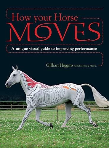 How Your Horse Moves : A Unique Visual Guide To Improving Performance, De Gillian Higgins. Editorial David & Charles, Tapa Blanda En Inglés