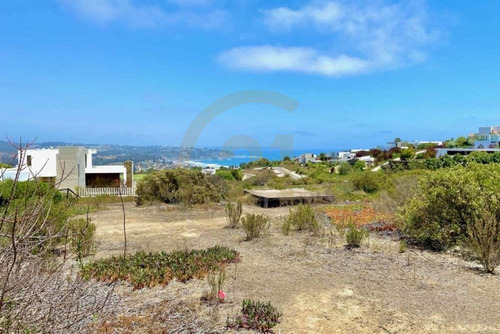 Sitio En Costa Cachagua Con Vista Al Mar