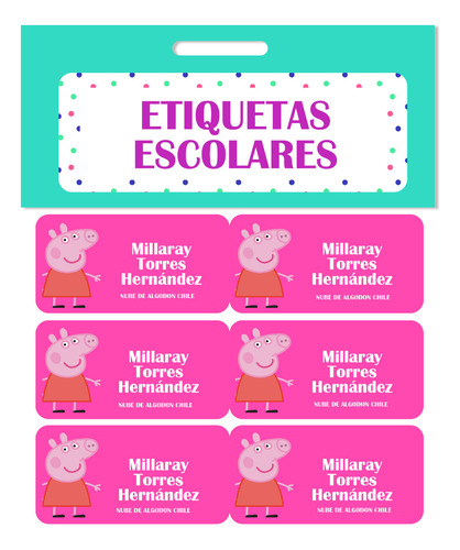 40 Etiquetas Escolares Personalizadas Ppig Niñas