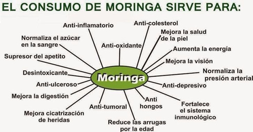 Moringa Salud, Bajar Peso, Frascos 100 Capsulas