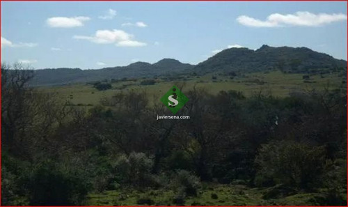 Venta De Campo En Lavalleja, Zona Del Penitente 528 Hectareas, Con Arroyo.- Ref: 168269